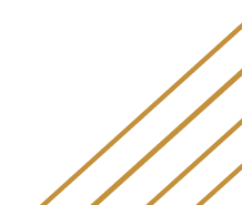 Gallery-Line Element Bottom